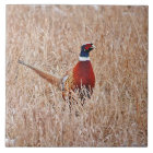 Pheasant Tile Large 6" x 6"