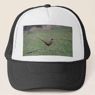Pheasant Trucker Hat