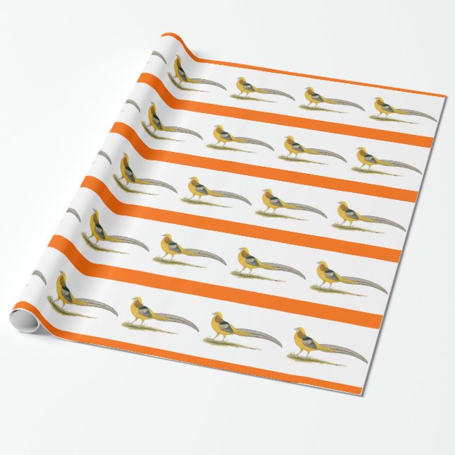 Pheasant:  Yellow Golden Wrapping Paper (Unrolled)
