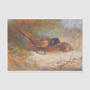 Pheasants by Archibald Thorburn Tissue Paper