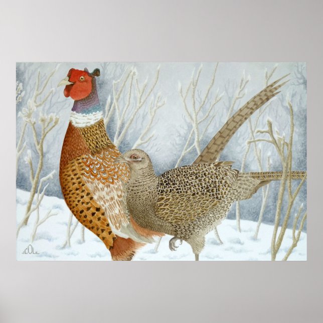Pheasants in the snow poster (Front)