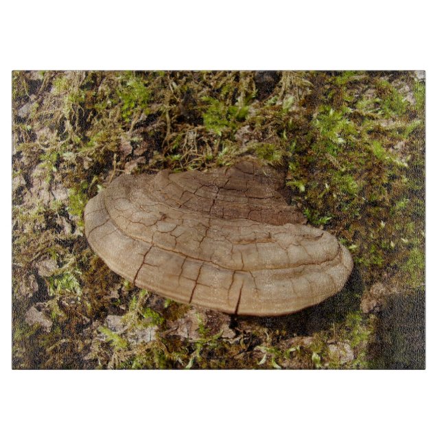 Phellinus igniarius Mushroom Glass Chopping Board (Front)