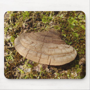 Phellinus igniarius Mushroom Mouse Mat