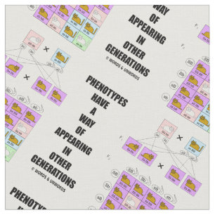 Phenotypes Way Of Appearing Generations Cats Fabric