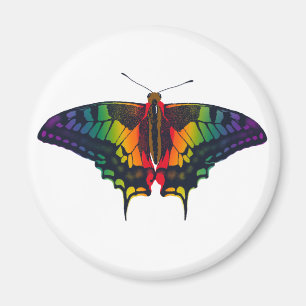 Philadelphia Rainbow Pride Flag Swallowtail Magnet