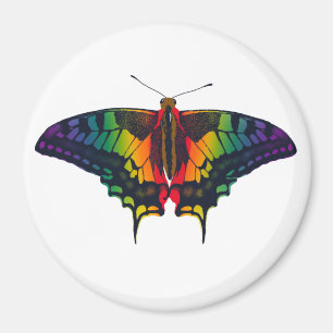 Philadelphia Rainbow Pride Flag Swallowtail Magnet
