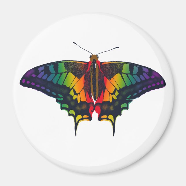 Philadelphia Rainbow Pride Flag Swallowtail Magnet (Front)