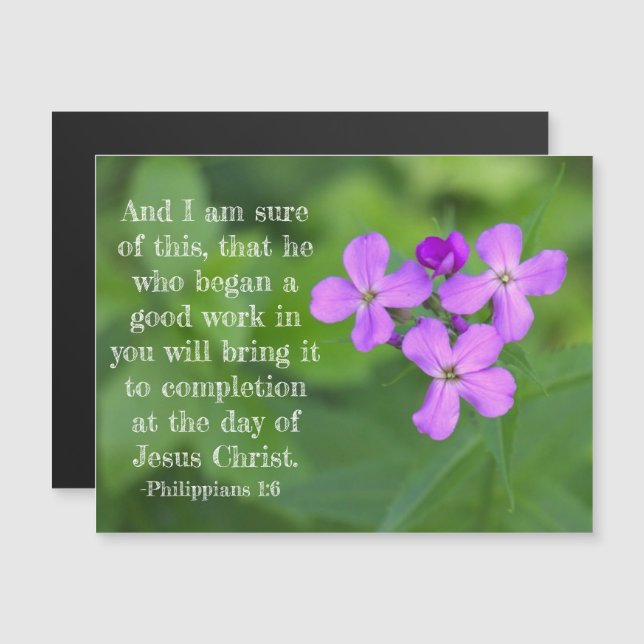 Philippians 1:6 Wildflowers Magnetic Card  (Front/Back)