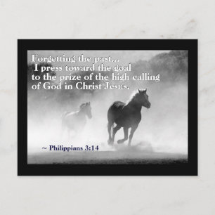 Philippians 3:14 I press towards the goal, Horses Postcard