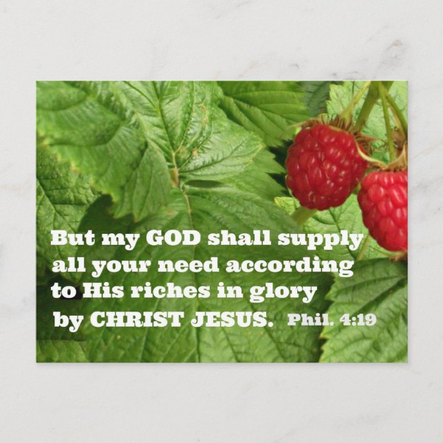 Philippians 4:19  But my God shall supply all your Postcard (Front)