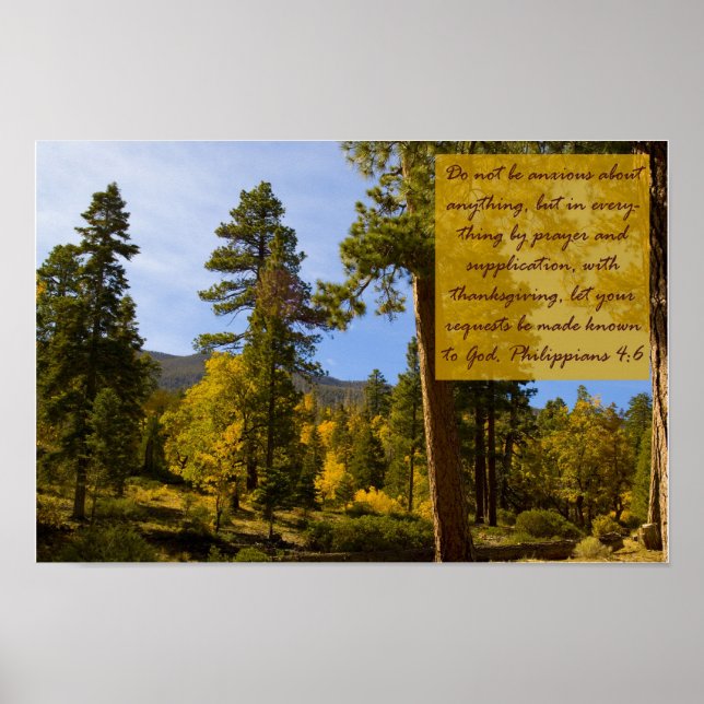 Philippians 4:6 Poster (Front)