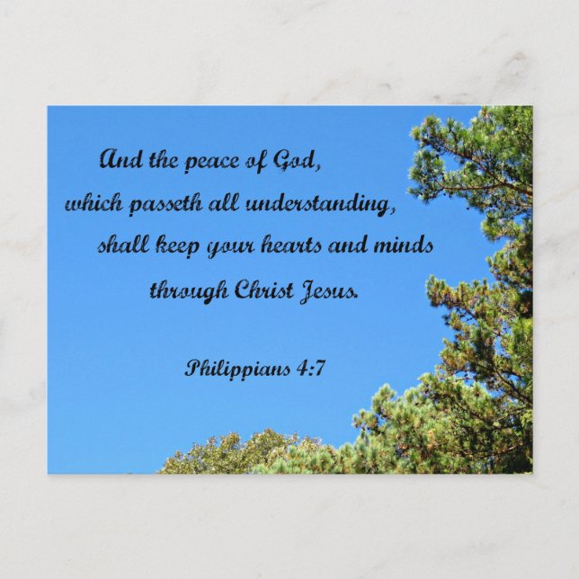 Philippians 4:7 And the peace of God.... Postcard (Front)