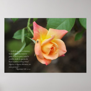 Philippians 4:8 with rose poster