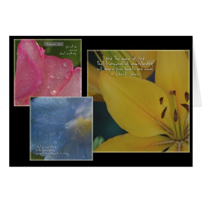 Philippians Floral (Front Horizontal)