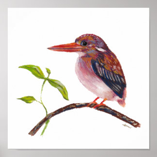 Philippine Dwarf Kingfisher Endemic Bird Poster