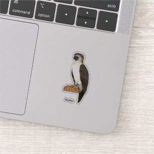 Philippine eagle bird cartoon illustration 