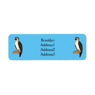 Philippine eagle bird cartoon illustration 