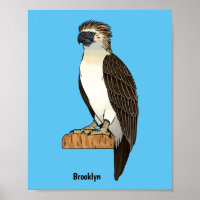Philippine eagle bird cartoon illustration