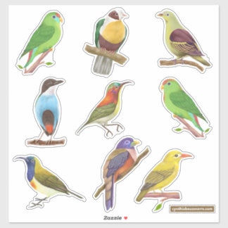 Philippine Native / Endemic Birds