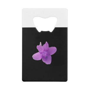 Philippine Violet  on black