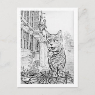 Philly Cat near Academy of Natural Sciences Postcard