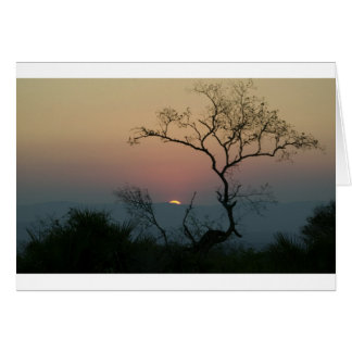 Phinda Sunset