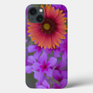 Phlox and Indian Blanket near Devine Texas iPhone 13 Case
