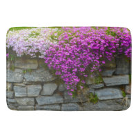 Phlox On Rocks