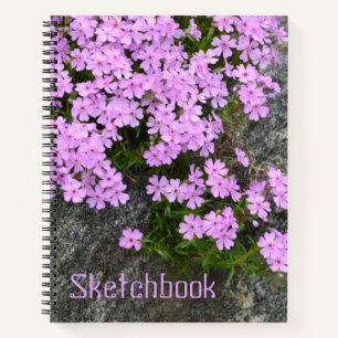 Phlox On Rocks Sketch Notebook