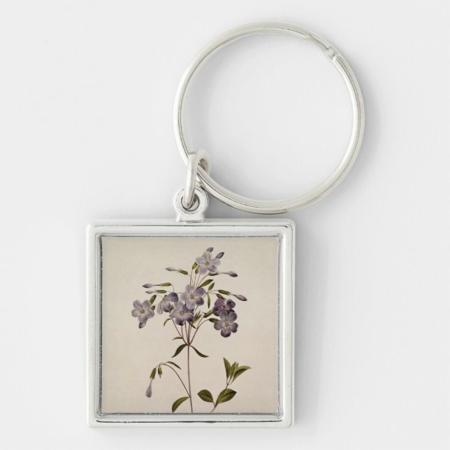 Phlox reptans key ring (Front)