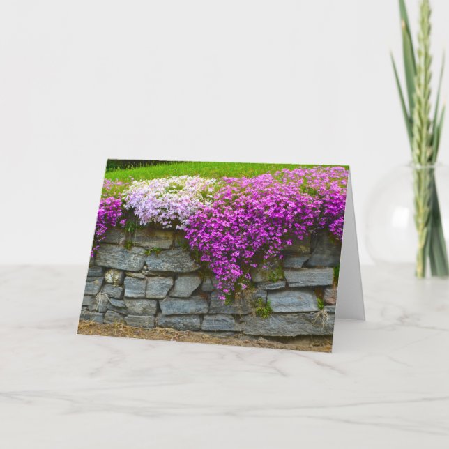 Phlox Stone Wall Notecard (Front)