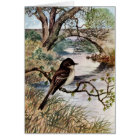 Phoebe and Stone Bridge Over Creek