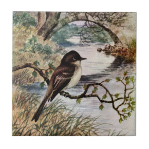 Phoebe and Stone Bridge Over Creek Tile