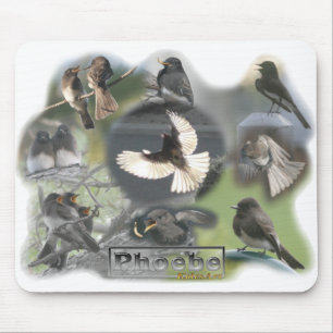 Phoebe Birds Photo Collage Mouse Pad