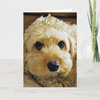 PhoebethePrincess, Cavapoo Greetings Card