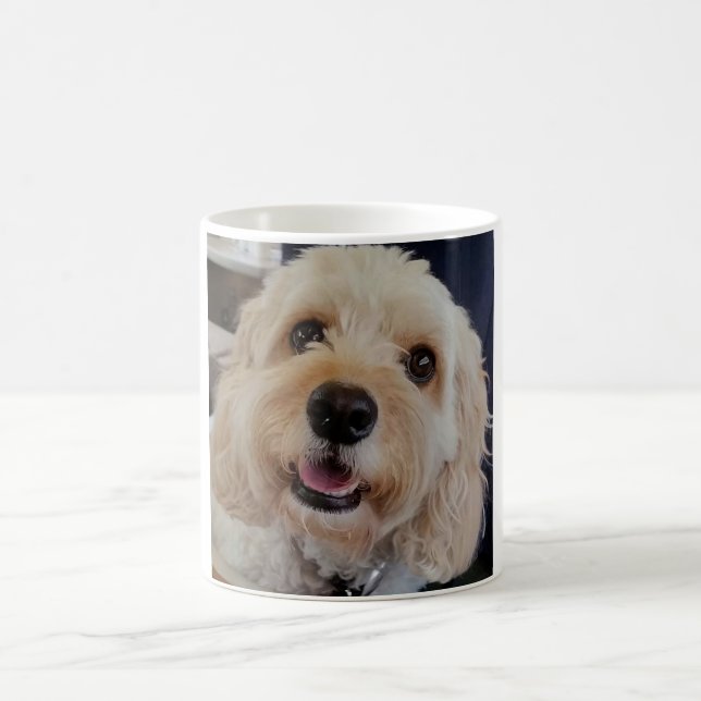 PhoebethePrincess Cavapoo on a  Classic White Mug (Center)
