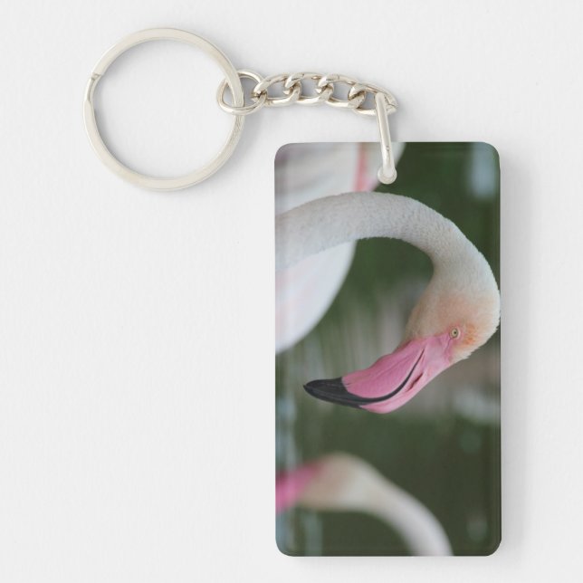 Phoenicopterus roseus key ring (Front)