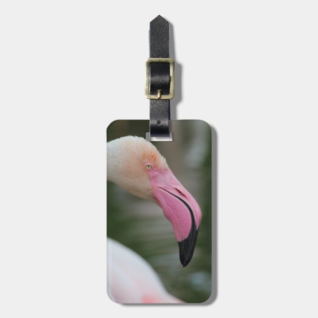 Phoenicopterus roseus luggage tag (Front Vertical)