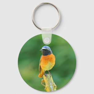 phoenicurus ochruros key ring