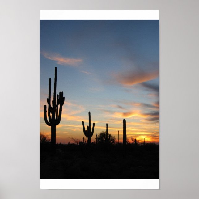 Phoenix Arizona cactus sunset Poster (Front)