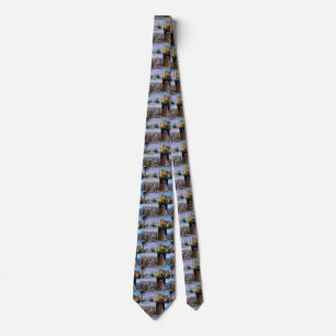Phoenix Arizona Montage Tie