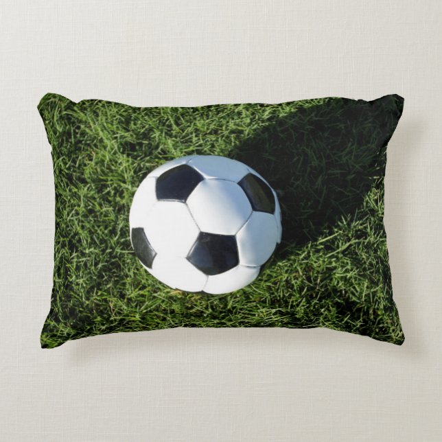 Phoenix, Arizona, USA. Decorative Cushion (Front)