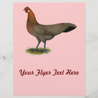 Phoenix: BB Red Hen Flyer