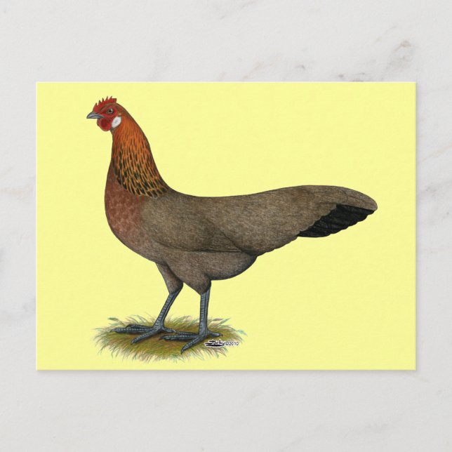 Phoenix:  BB Red Hen Postcard (Front)