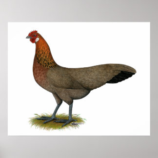 Phoenix: BB Red Hen Poster