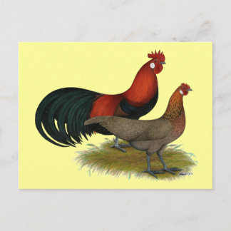 Phoenix: BB Red Pair Postcard