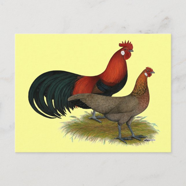 Phoenix:  BB Red Pair Postcard (Front)