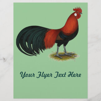 Phoenix: BB Red Rooster Flyer