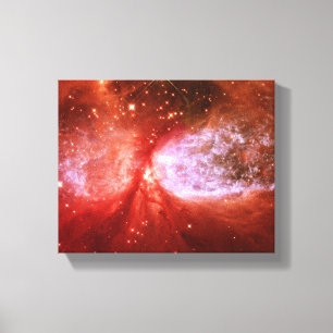 Phoenix Canvas Print