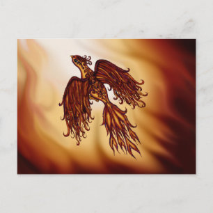 Phoenix Fly Postcard